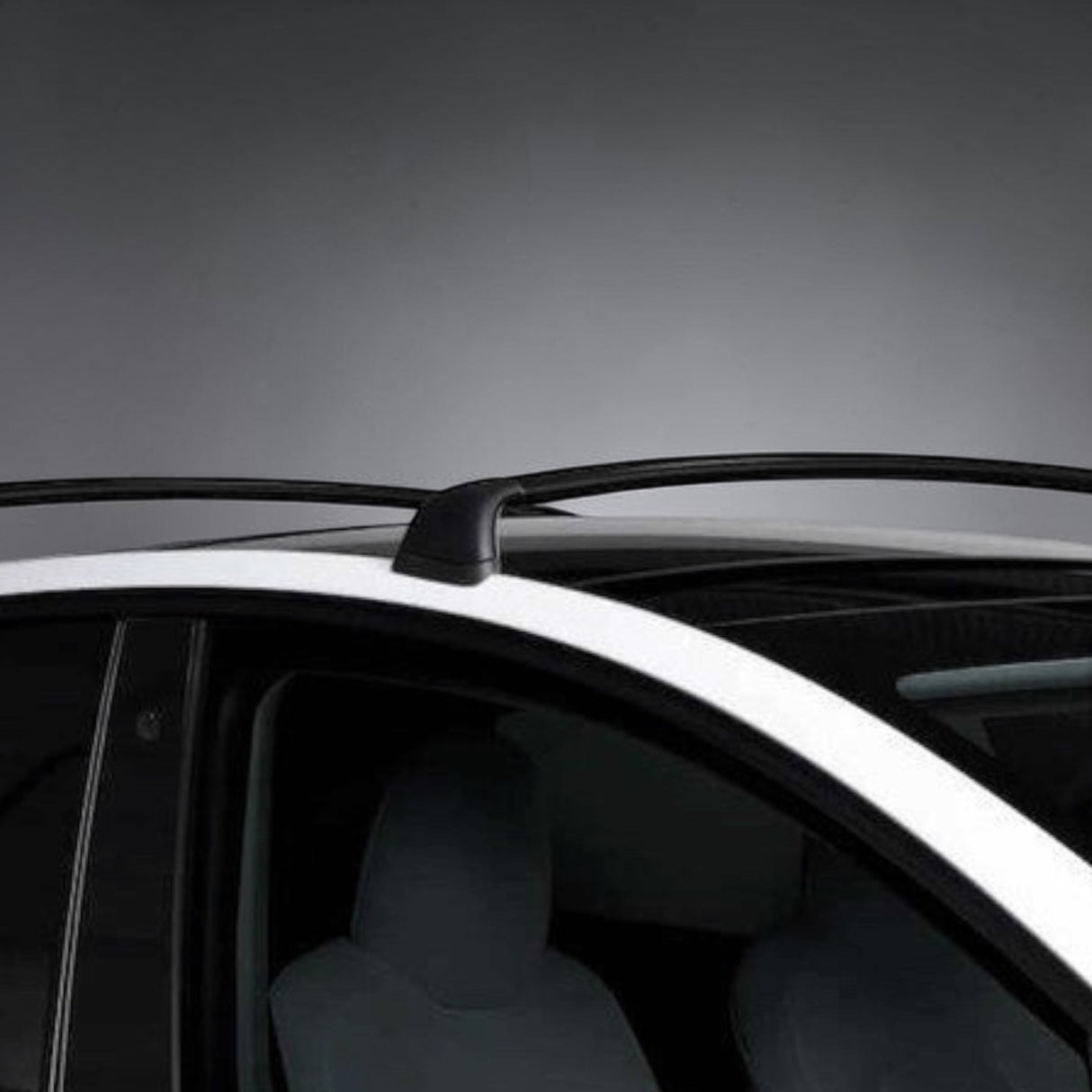 Dachträger - passend für Tesla Model 3/Y