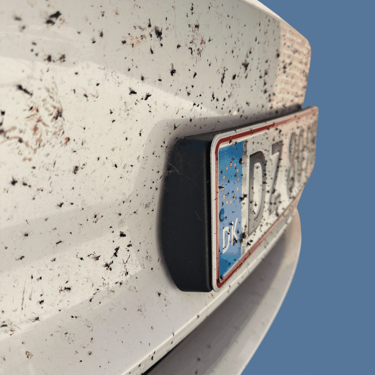 Verschmutztes weißes Auto mit Insektenresten und Nummernschild