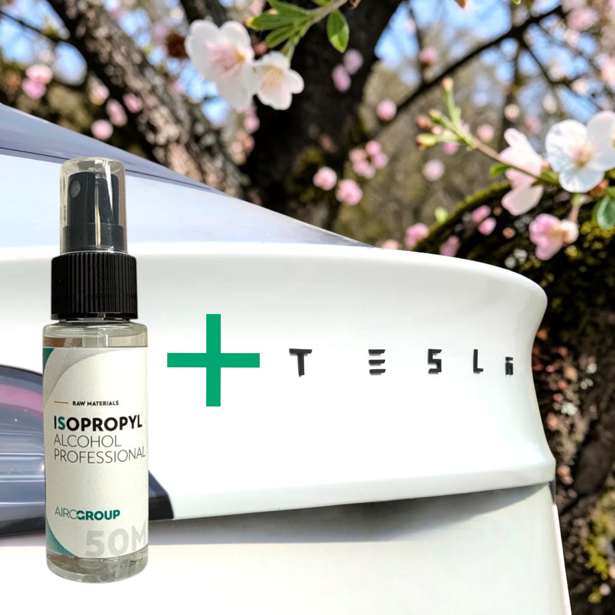 Tesla-Logo-Buchstaben + Reinigung