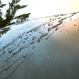 Glaco Wasserperlen auf Autoscheibe bei Regenwetter