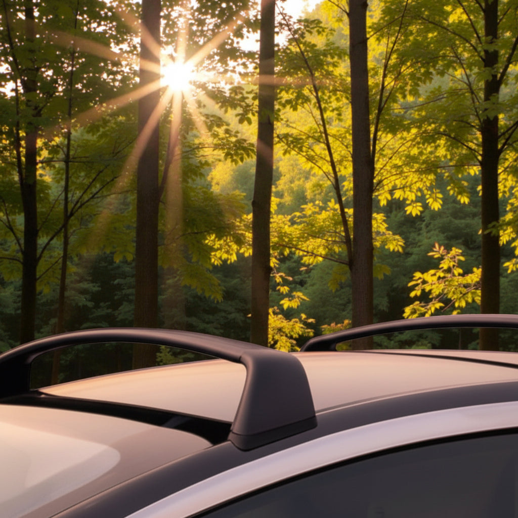 Schwarze Tesla-Dachträger montiert auf dem Dach eines Tesla, mit Wald und Sonne im Hintergrund