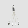 Ein Schlüsselanhänger mit mehreren USB-Anschlüssen.
