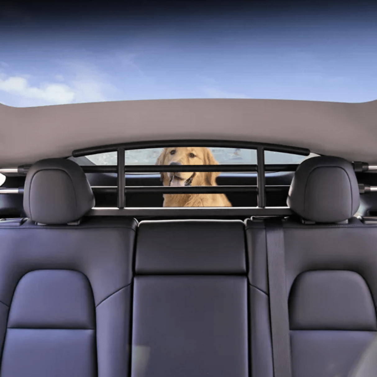 Hundegitter im Tesla Model Y mit einem glücklichen Hund im Kofferraum.