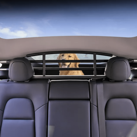 Hundegitter im Kofferraum eines Tesla Model Y mit einem Golden Retriever.