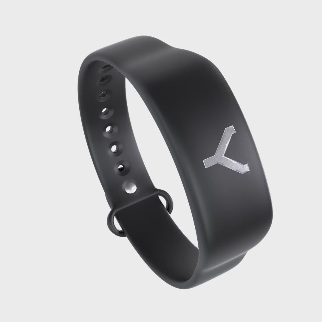 Schlüsselarmband für Tesla