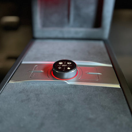 ein montierter s3xy Knopf in einem Tesla, von vorne gesehen