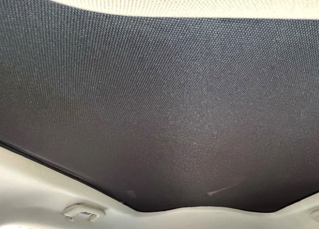 Sonnenschutz für das Dach - Ford Mustang Mach-E