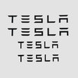 Tesla-Buchstaben, die anstelle des Logos am Auto verwendet werden können