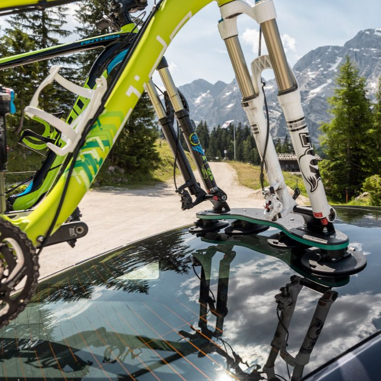 TreeFrog Pro 2 Fahrradträger